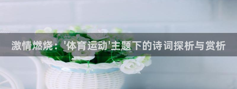一竞技官方正版app娱乐是那个系列的台子