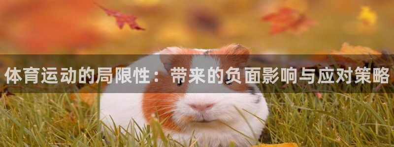 海南一竞技官网下载发展怎么样：体育运动的局限性：带来