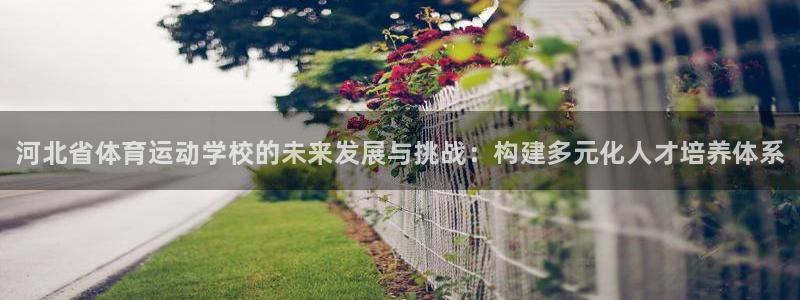 一竞技官网下载平台是正规平台吗知乎：河北省体育运动学