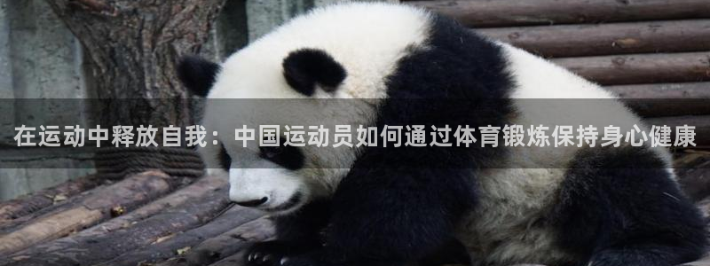 一竞技官网下载平台：在运动中释放自我：中国运动员如何