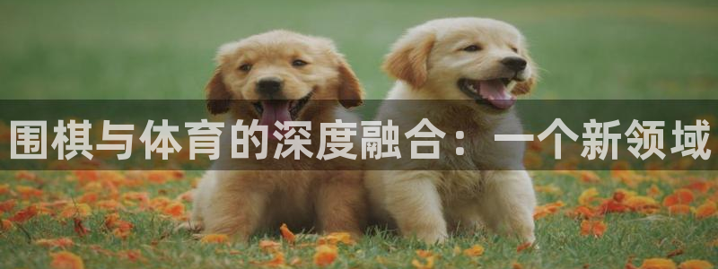 一竞技官方正版app集团官网网址
