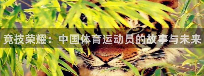 一竞技官网下载平台注册：竞技荣耀：中国体育运动员的故