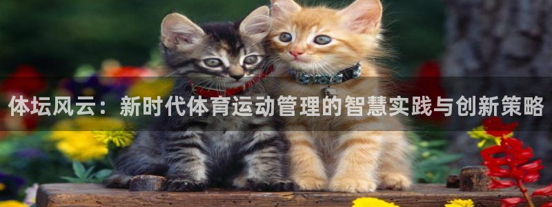 一竞技官网下载招商电话：体坛风云：新时代体育运动管理的智慧实