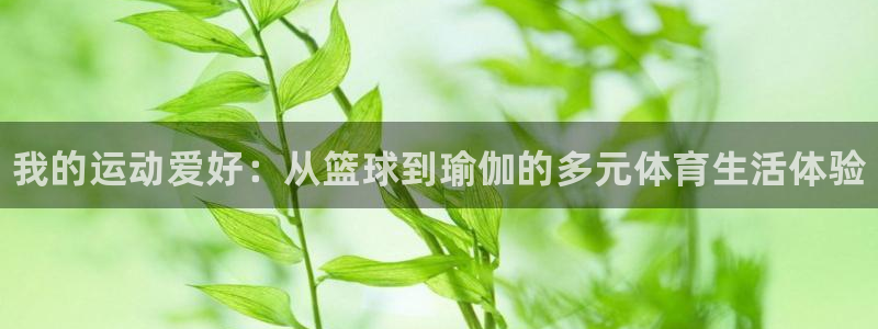 海南一竞技官网下载：我的运动爱好：从篮球到瑜伽的多元体育生活