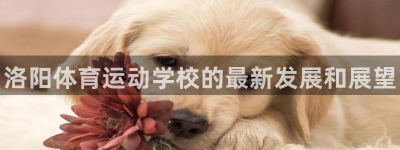一竞技官网下载招商电话地址查询：洛阳体育运动学校的最