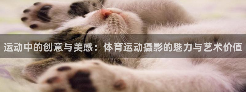 一竞技官网下载招商电话号码是多少啊：运动中的创意与美感：体育