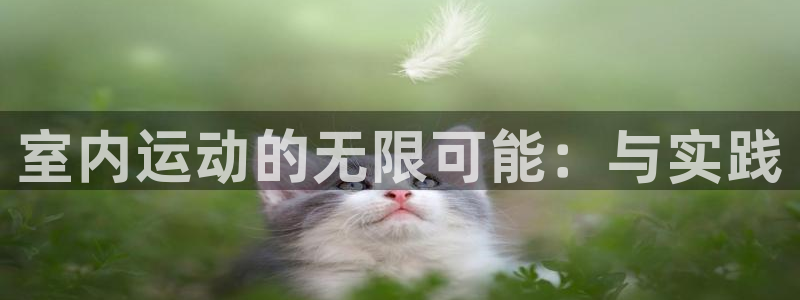 一竞技官方正版app集团E.ON：室内运动的无限可能：与实践