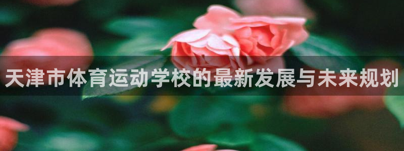 一竞技官网下载平台注册流程图：天津市体育运动学校的最新发展与