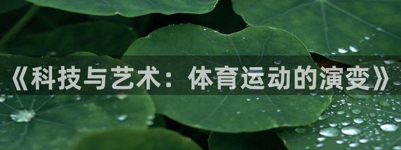 一竞技官网下载招商电话是多少啊