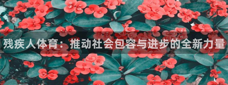 一竞技官网下载平台是正规平台吗知乎：残疾人体育：推动