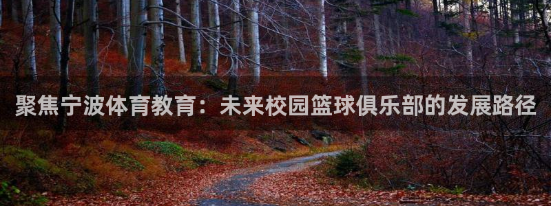 一竞技官方正版app开户：聚焦宁波体育教育：未来校园