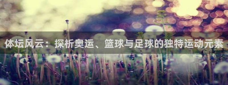 一竞技官网下载平台是正规平台吗知乎