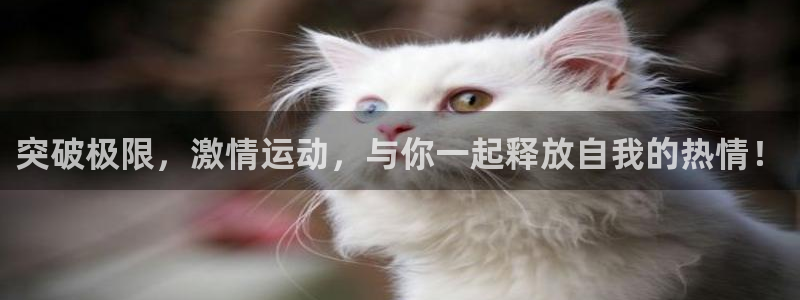 一竞技官网下载招商电话地址是多少：突破极限，激情运动，与你一