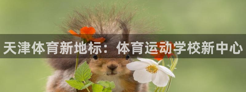 一竞技官方正版app娱乐平台：天津体育新地标：体育运动学校新