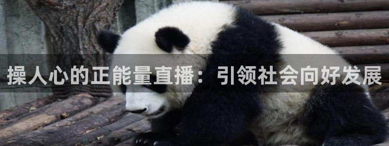 9255tv直播nba在线直播