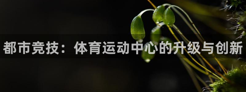 一竞技测速站网址