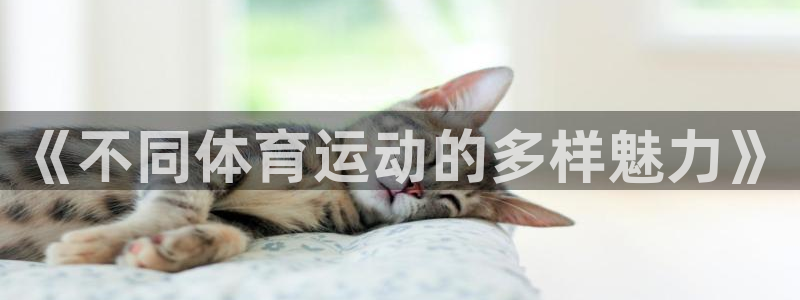 一竞技官网登录入口