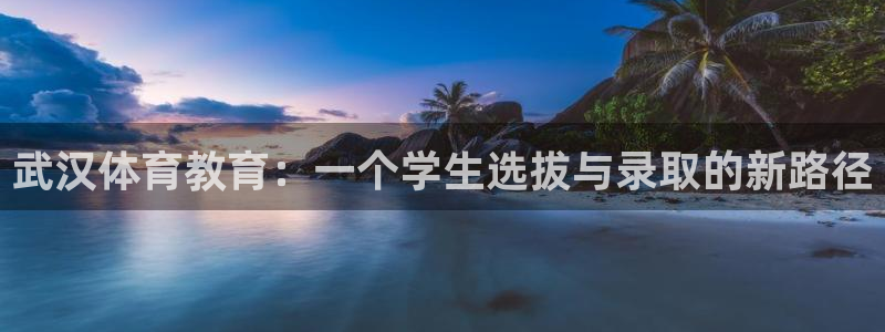  一竞技官网测试：武汉体育教育：一个学生选拔与录取的新路径