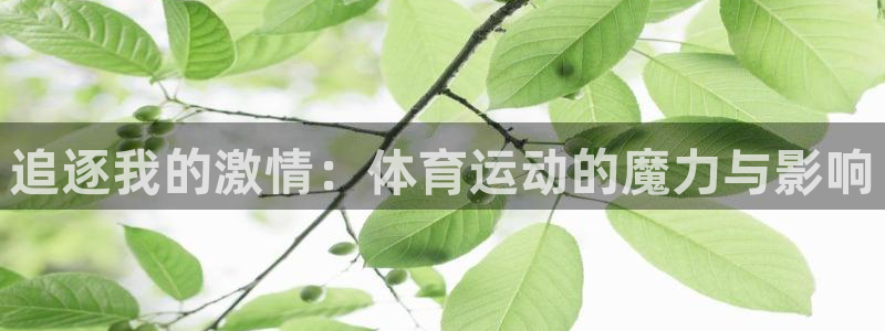 一竞技平台怎么样：追逐我的激情：体育运动的魔力与影响