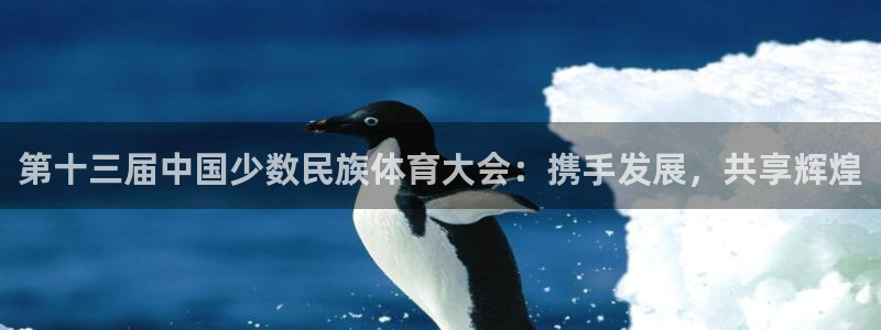 一竞技one卡：第十三届中国少数民族体育大会：携手发展，共享
