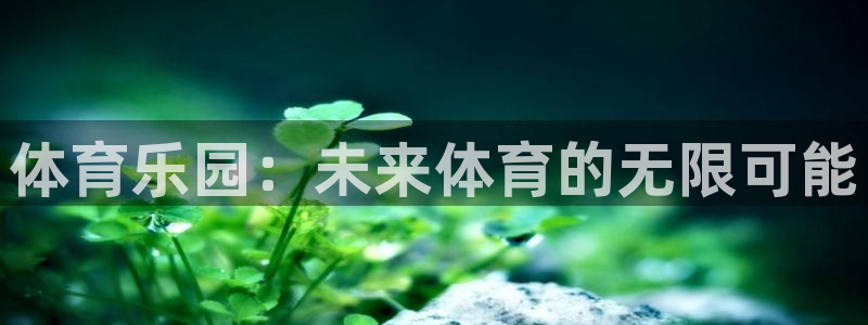  一竞技测速：体育乐园：未来体育的无限可能