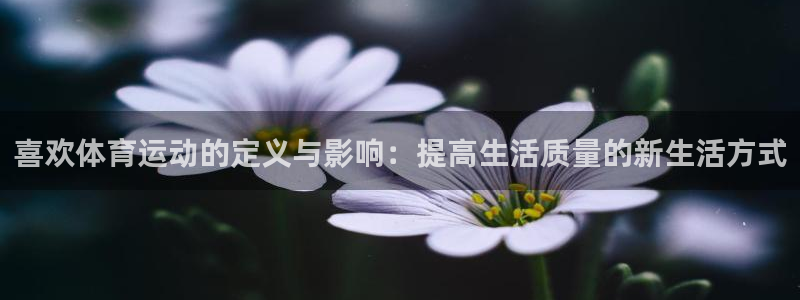 一竞技平台登录入口：喜欢体育运动的定义与影响：提高生活质量的
