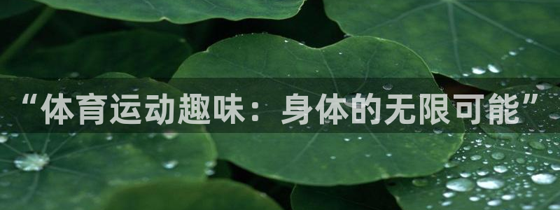  一竞技平台：“体育运动趣味：身体的无限可能”