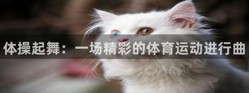 一竞技one卡安不安全：体操起舞：一