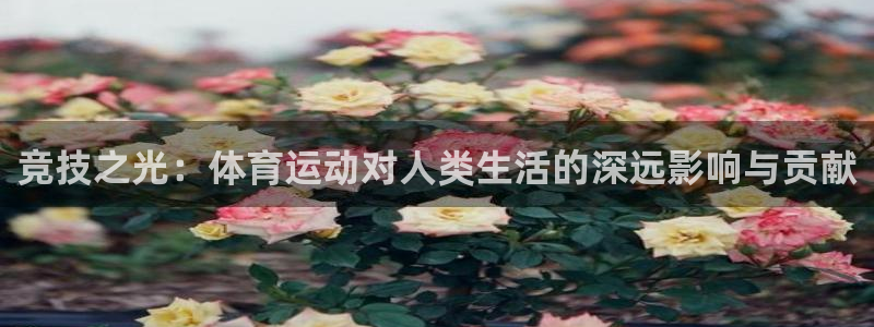 一竞技dota：竞技之光：体育运动对