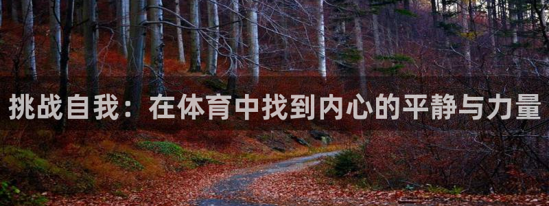 一竞技官方正版app娱乐平台：挑战自我：在体育中找到