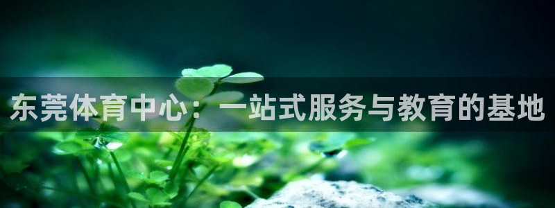 一竞技官方正版app集团